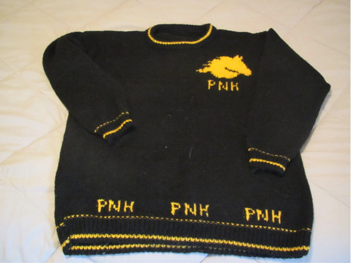 parellia sweater.png